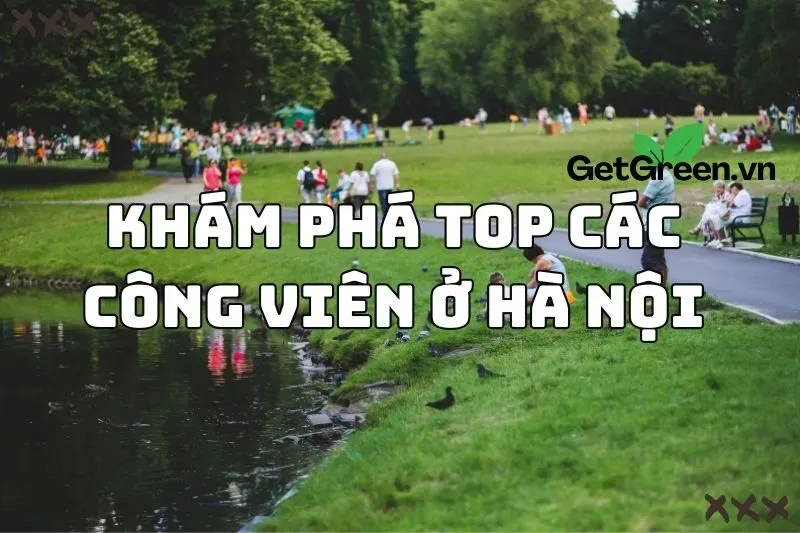 Khám phá top các công viên ở Hà Nội lý tưởng để thư giãn 2024