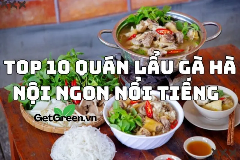 Top 10 quán lẩu gà Hà Nội ngon nổi tiếng 2024